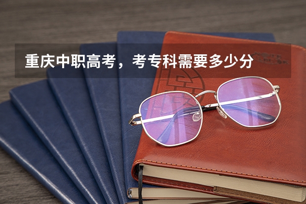 重庆中职高考，考专科需要多少分