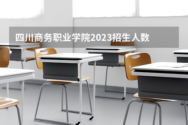 四川商务职业学院2023招生人数 电子商务单招技能测试