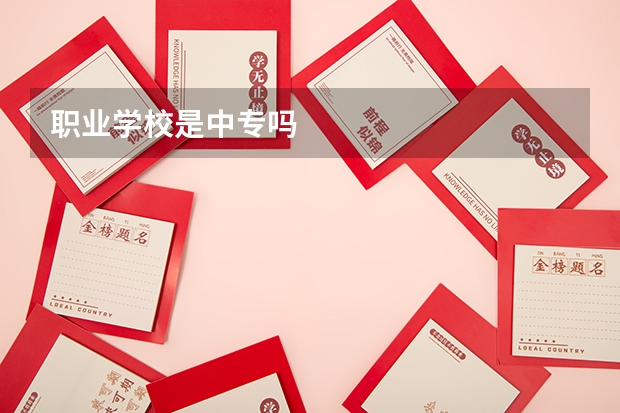 职业学校是中专吗