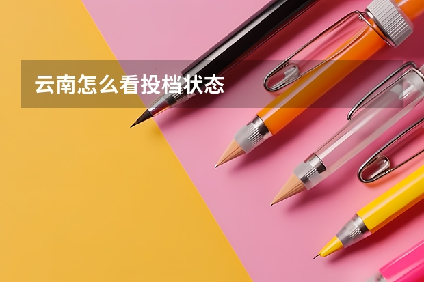 云南怎么看投档状态