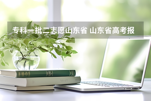 专科一批二志愿山东省 山东省高考报专科志愿的时间