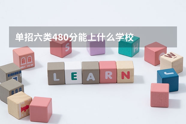 单招六类480分能上什么学校