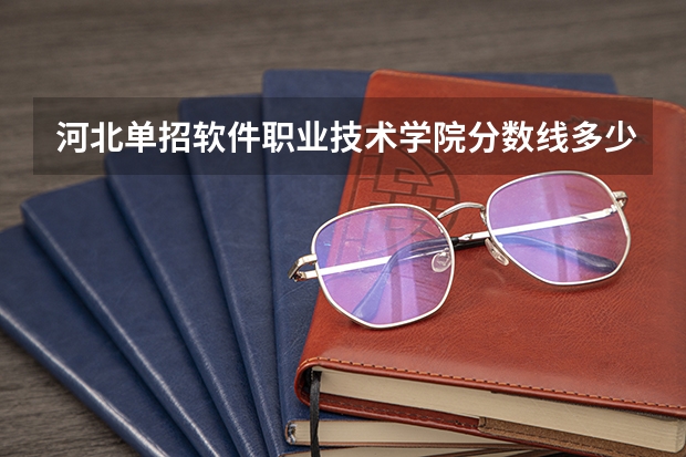 河北单招软件职业技术学院分数线多少
