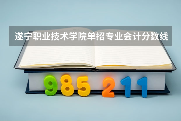 遂宁职业技术学院单招专业会计分数线（四川职业技术学院单招成绩查询）