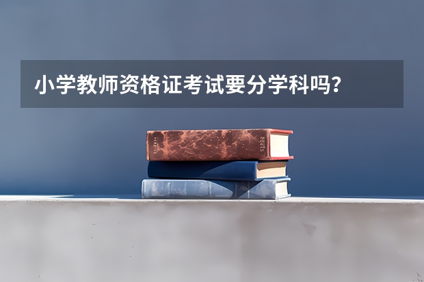 小学教师资格证考试要分学科吗？