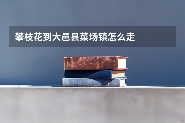 攀枝花到大邑县菜场镇怎么走